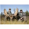 Image 4 : 6-DAY NEWFOUNDLAND EASTERN CANADA MOOSE AND BLACK BEAR HUNT FOR ONE HUNTER - $13,500