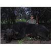 Image 7 : 10-DAY PLAINS GAME HUNT FOR 2 HUNTERS - $11,000