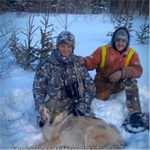 ONTARIO WOLF HUNT FOR 1 HUNTER- $3,000