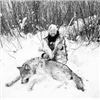 Image 2 : ONTARIO WOLF HUNT FOR 1 HUNTER- $3,000