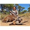 Image 2 : SOUTH AFRICA PLAINS GAME FOR UP TO 4 HUNTERS - $20,000 / EXHIBITOR