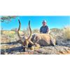 Image 6 : SOUTH AFRICA PLAINS GAME FOR UP TO 4 HUNTERS - $20,000 / EXHIBITOR