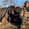 Image 2 : ZIMBABWE 10-DAY CAPE BUFFALO HUNT FOR 1 HUNTER - $14,000 / EXHIBITOR