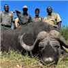 Image 3 : ZIMBABWE 10-DAY CAPE BUFFALO HUNT FOR 1 HUNTER - $14,000 / EXHIBITOR