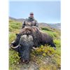 Image 2 : INUIT OUTFITTER SUMMER MUSK OX HUNT IN GREENLAND FOR 1 HUNTER - $9,500