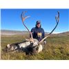 Image 4 : INUIT OUTFITTER SUMMER MUSK OX HUNT IN GREENLAND FOR 1 HUNTER - $9,500