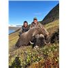 Image 5 : INUIT OUTFITTER SUMMER MUSK OX HUNT IN GREENLAND FOR 1 HUNTER - $9,500