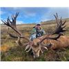 Image 3 : SCOTLAND RED STAG HUNT ON PRESTIGIOUS AND EXCLUSIVE ESTATES  WITH AIRFARE - OVER $10,000