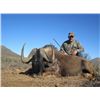Image 2 : 7-DAY BIG GAME SAFARI FOR 1 HUNTER AND 1 OBSERVER - $8,000