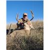 Image 1 : NEBRASKA 4-DAY MULE DEER OR WHITETAIL HUNT FOR 1 HUNTER - $4,695 / EXHIBITOR IN-HOUSE SALE ONLY