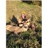 Image 3 : NEBRASKA 4-DAY MULE DEER OR WHITETAIL HUNT FOR 1 HUNTER - $4,695 / EXHIBITOR IN-HOUSE SALE ONLY
