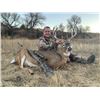 Image 4 : NEBRASKA 4-DAY MULE DEER OR WHITETAIL HUNT FOR 1 HUNTER - $4,695 / EXHIBITOR IN-HOUSE SALE ONLY