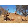 Image 2 : SOUTH AFRICAN TROPHY ROAN HUNT FOR 2 HUNTERS AND 2 OBERVERS $19,000 / EXHIBITOR