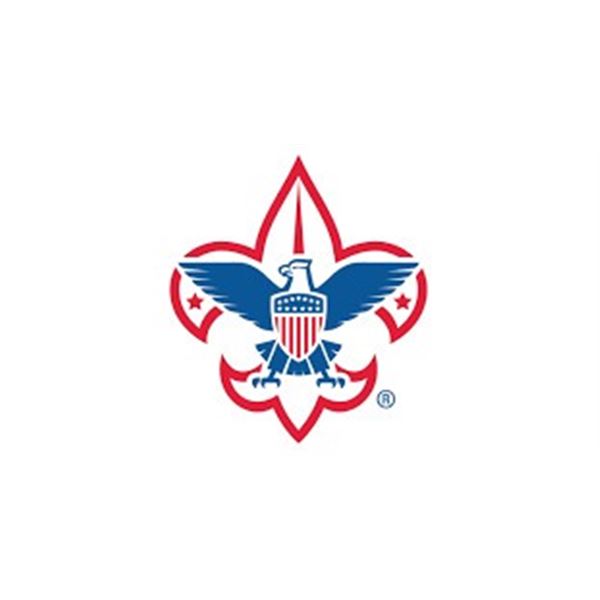 BOY SCOUT YARD CLEANUP - $PRICELESS$