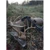 Image 2 : Archery Whitetail Hunt - Missouri