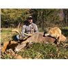 Image 4 : Archery Whitetail Hunt - Missouri