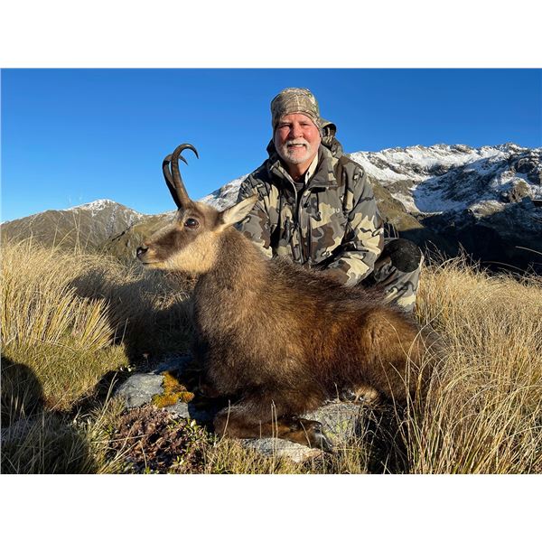 Chamois Hunt - New Zealand