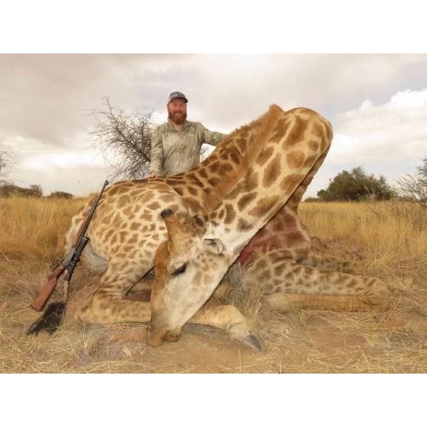 Giraffe & Plains Game Hunt - South Africa