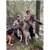 Image 2 : Mountain Lion Hunt - Idaho