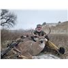 Image 2 : Archery Whitetail Hunt - South Dakota