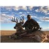 Image 6 : Archery Whitetail Hunt - South Dakota