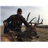 Image 7 : Archery Whitetail Hunt - South Dakota