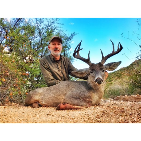 Coues Deer Hunt - Mexico