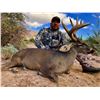 Image 2 : Coues Deer Hunt - Mexico