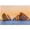 Image 5 : Los Cabos Sport Fishing - Mexico