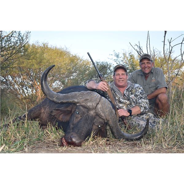 Cape Buffalo Hunt - South Africa