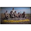 Image 2 : Dove Hunting - Argentina