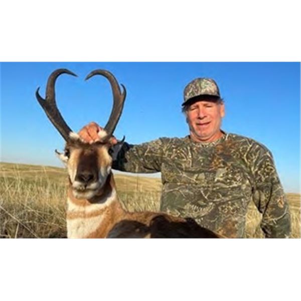 Antelope Hunt In Montana