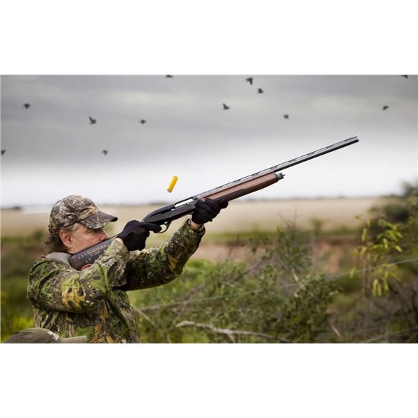 Argentina Dove Hunt