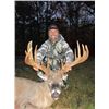 Image 1 : 4 Day Whitetail Hunt (up to 200”) for 1 Hunter
