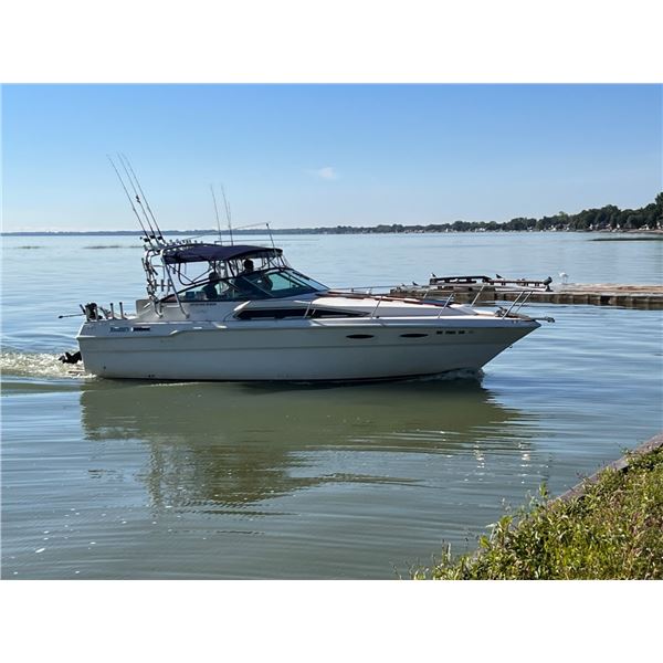 1 Day Walleye Fishing Charter for up to 4 Anglers