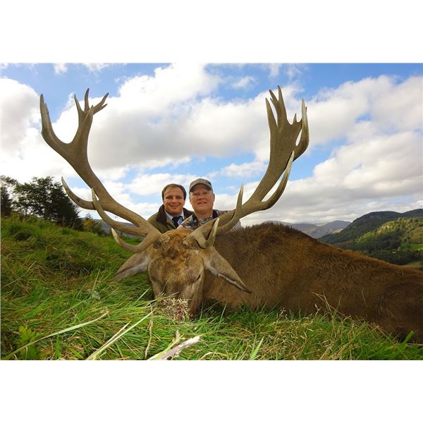 7 Days (3 hunting, 4 travel) Fall Scotland Hill Red Stag Hunt for 1 Hunter