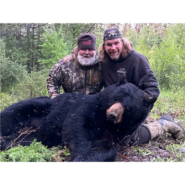 6 Day Black Bear Hunt for 1 Hunter
