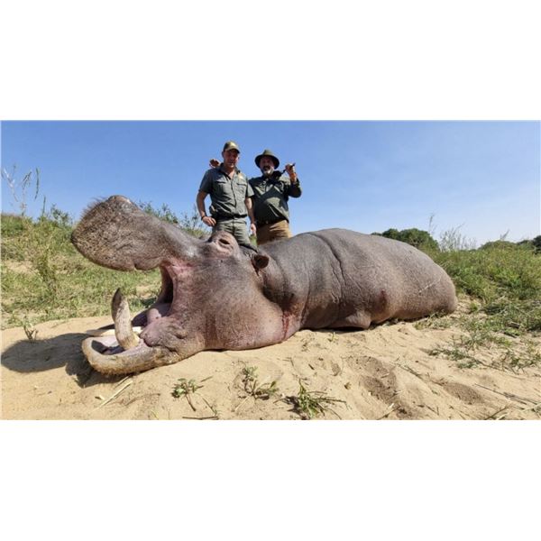 8 Day Safari for 1 Hippo and 1 Crocodile (up to 12’long) for 1 Hunter and 1 Non-Hunter
