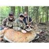 Image 1 : 1 Day, one-on-one Youth Cull Whitetail Buck or Doe Hunt with Parent