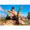 Image 1 : 4 Day (5 Night) Beceite Ibex Hunt up to 75 SCI (bronze) for 1 Hunter and 1 Non-Hunter