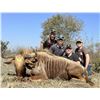 Image 2 : 7 Day Safari for 1 Hunter with $2,000 towards Trophy Fees
