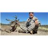 Image 1 : 4 Days/5Nights Mexican Coues Deer Hunt for 2 Hunters (1 Coues Deer per hunter)