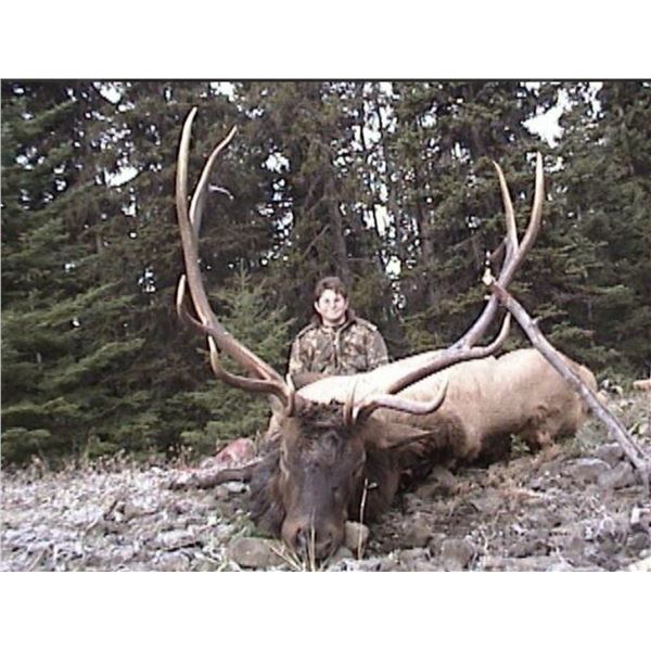 5 Day Elk and Bear Hunt for 1 Hunter