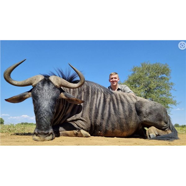 7 Day Hunt for 4 Hunters (2x1) with $800 Trophy Fee Credit for Each Hunter