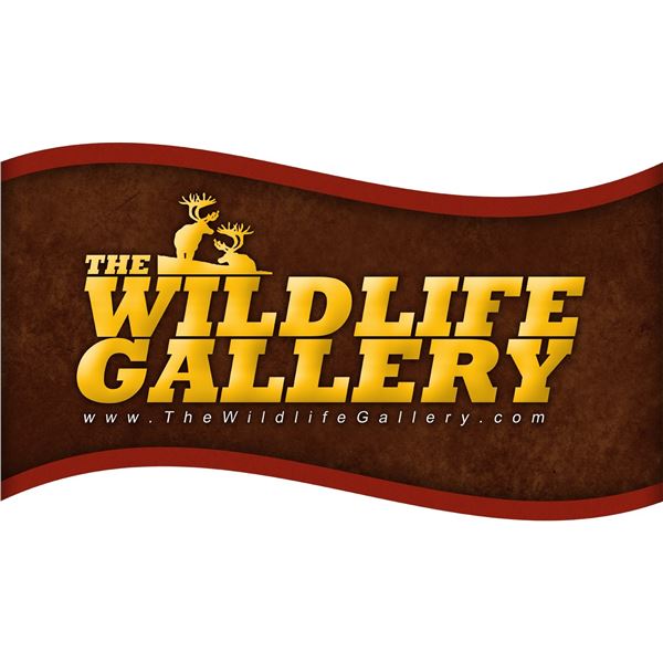 $5,000.00 credit towards either a life-size taxidermy mount OR 4 animal safari shoulder mounts