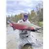 Image 2 : 8 hour guided Chinook Salmon fishing trip for 2 Anglers