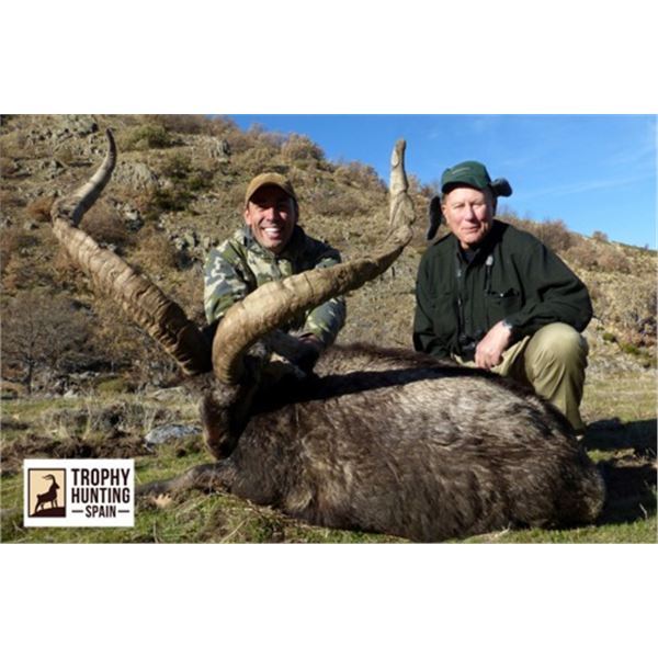 Mountain Hunt in Spain