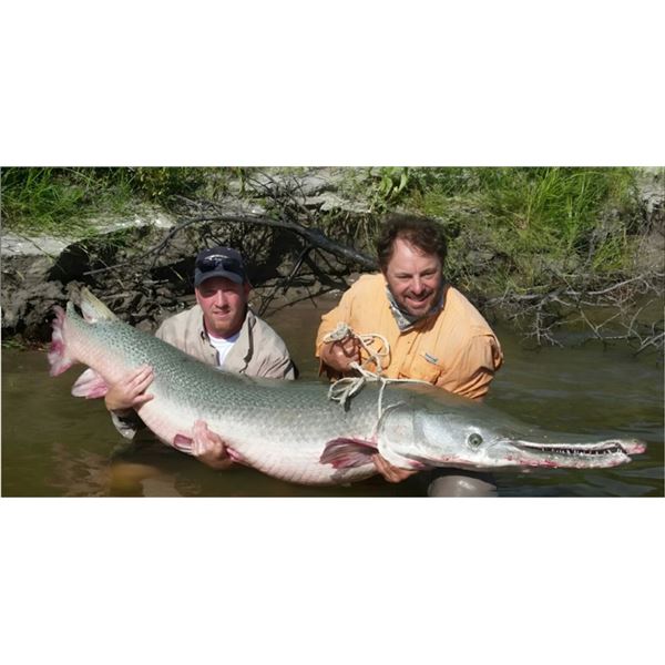 Alligator Gar Bow Fishing