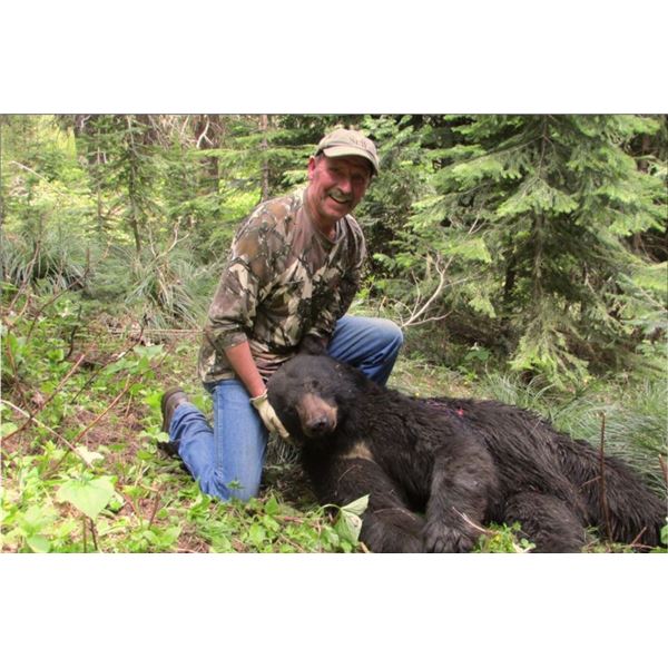Idaho Black Bear Hunt