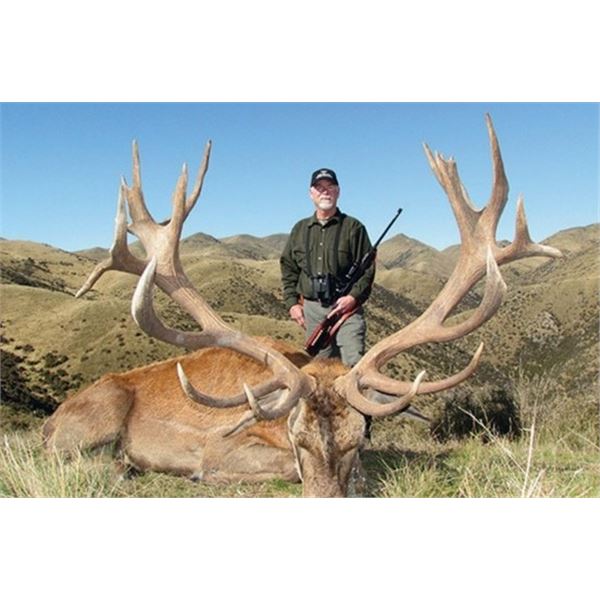 New Zealand Deer Hunt